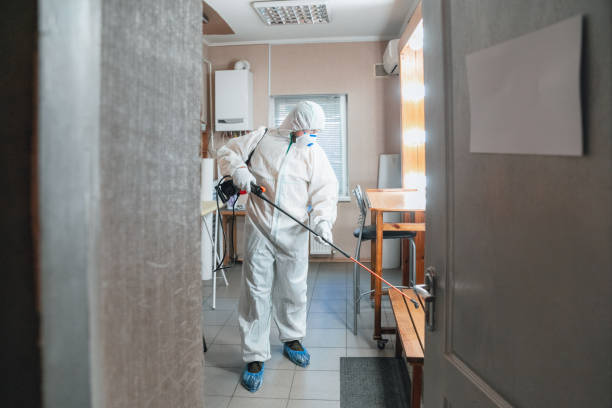 Best Post-Construction Mold Inspection  in Houston, TX