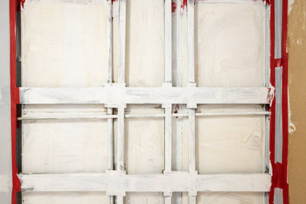 Reliable Houston, TX Mold Removal Solutions