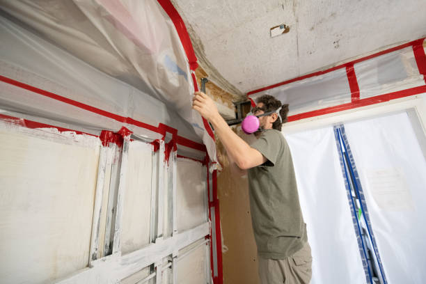  Houston, TX Mold Removal Pros