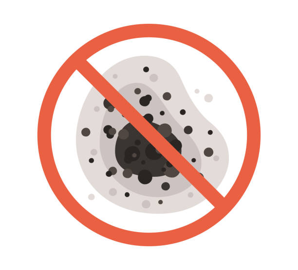 Best Comprehensive Air Testing for Mold Contaminants  in Houston, TX